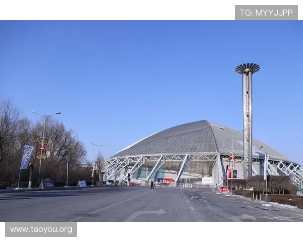 南宫体育app官网未来发展规划与新功能预告全景介绍