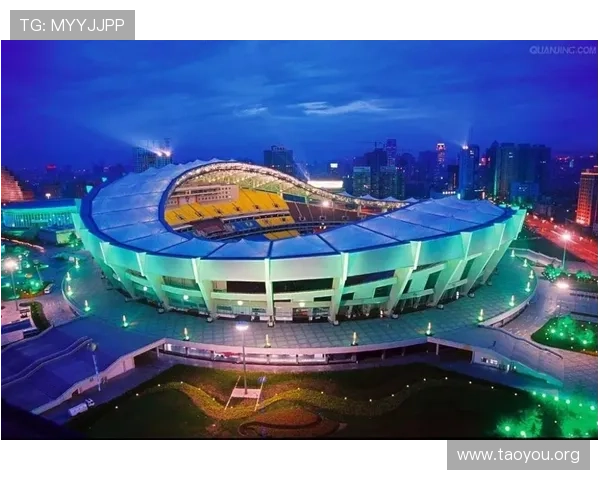 南宫体育馆的未来发展规划与升级计划，展望场馆持续提升的愿景与目标